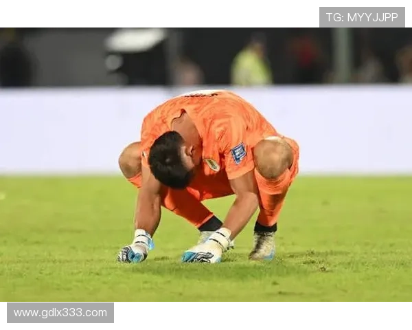 佛罗伦萨锋线火力全开，连续胜利表现稳健，挑战下一场比赛。