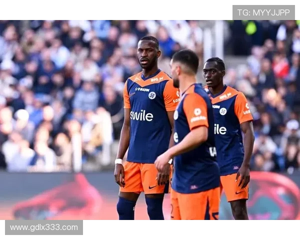 蒙彼利埃关键球员表现出色，球队新赛季竞争力增强值得关注