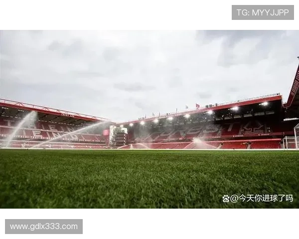 恩佐 vs 凯塞多：切尔西中场角色与战术分工解析