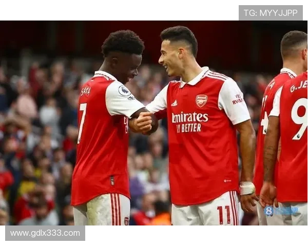 恩佐 vs 赖斯:全能中场的战术角色对比分析 恩佐 vs 赖斯:全能中场的战术角色对比分析